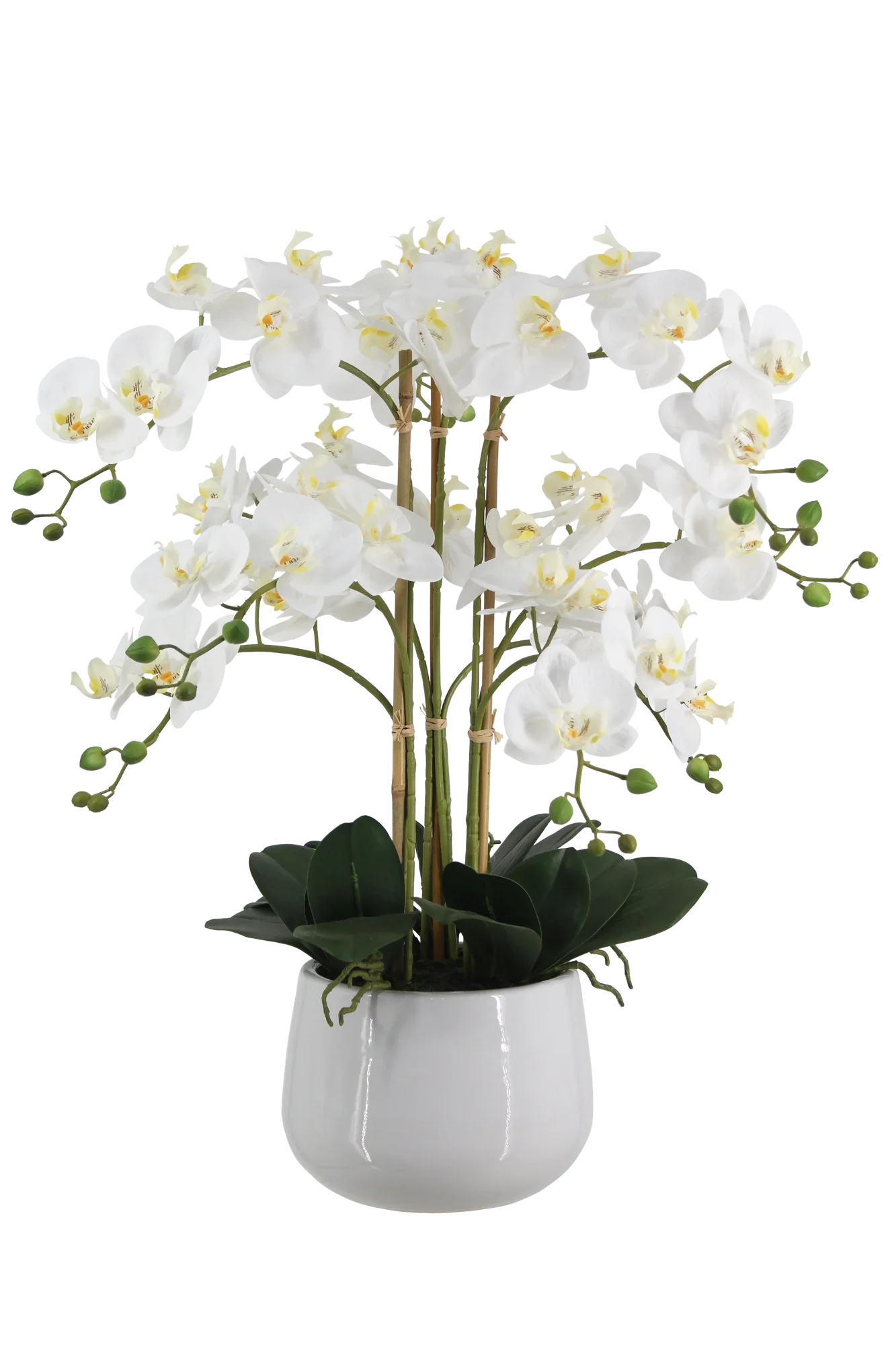 Künstliche Orchidee - Dan