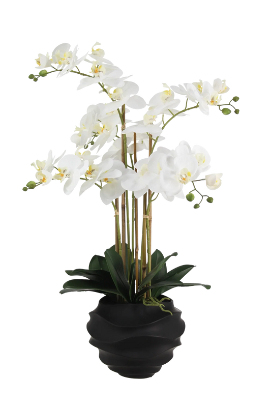 Künstliche Orchidee - Chi | 67 cm