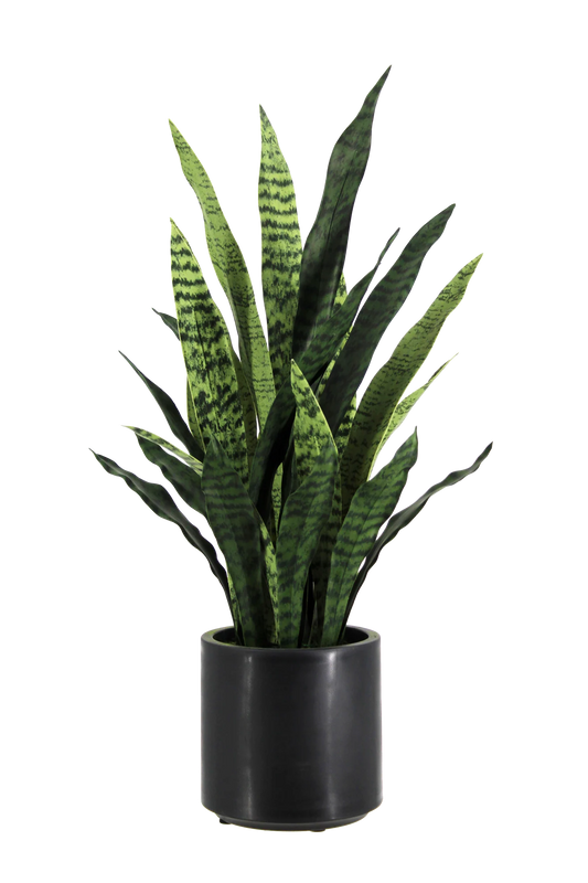 Künstlicher Bogenhanf - Nero | 90 cm