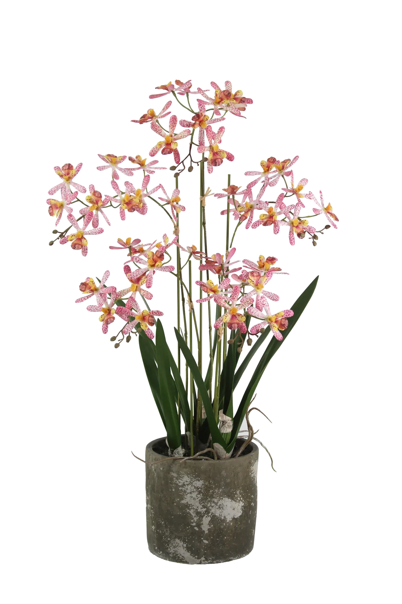 Kunstplanten voor binnen, realistische kunstplanten voor buiten, met pot, kunstplant, realistische kunststof, geschikt voor alle omgevingen (orchidee 40 cm, vierkante vaas Kunstplanten voor binnen, realistische kunstplanten voor buiten, met pot, kunstplant, realistische kunststof, geschikt voor alle omgevingen (orchidee 40 cm, vierkante vaas