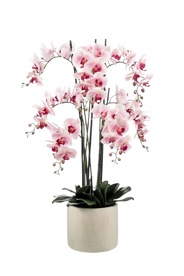 Kunst Orchidee - Leo