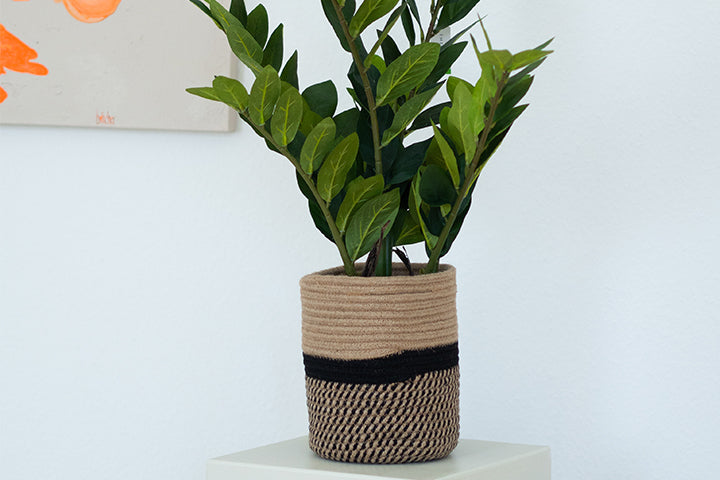 Kunstpflanze in Übertopf. Übertopf aus dem Material Korb. Künstliche Pflanze in Grün. Kunstpflanze steht vor moderner Kunst.