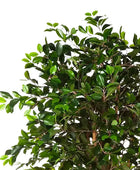 Künstlicher Chinesischer Ficus - Konstantin | 180 cm