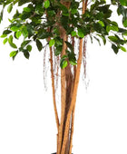 Künstlicher Chinesischer Ficus - Konstantin | 180 cm