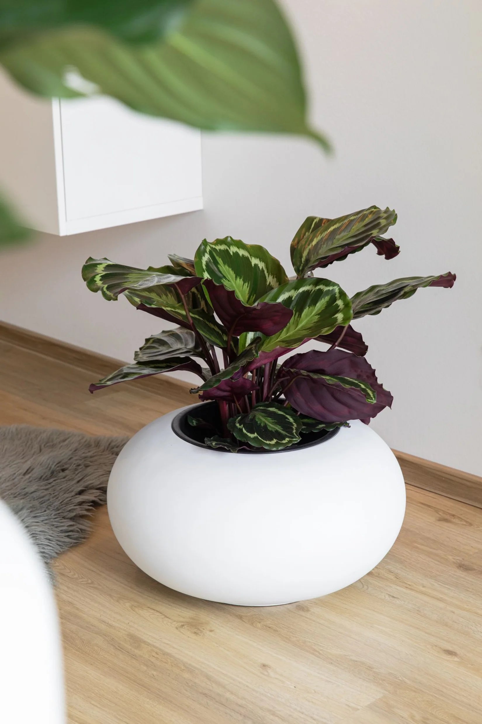 Plantenbak - Ted | 54 cm dm, wit