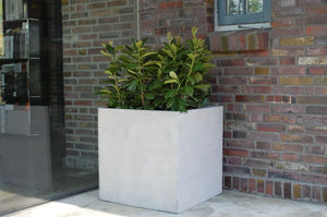 Plantenbak - Leyla | 60x60x60 cm, betonnen ontwerp