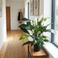 Kunst Spathiphyllum - Big-Luna | 73 cm