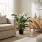 Kunst Spathiphyllum - Big-Luna | 73 cm