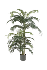 Hochwertige Kunstpalme auf transparentem Hintergrund mit echt wirkenden Kunstblättern in natürlicher Anordnung. Künstliche Areca Palme - Bobby hat die Farbe Natur und ist 130 cm hoch. | aplanta Kunstpflanzen