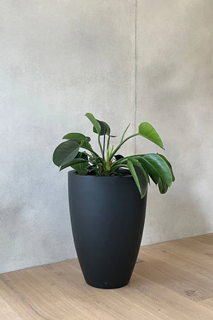 Plantenbak - Nerma | 40x55 cm, antraciet