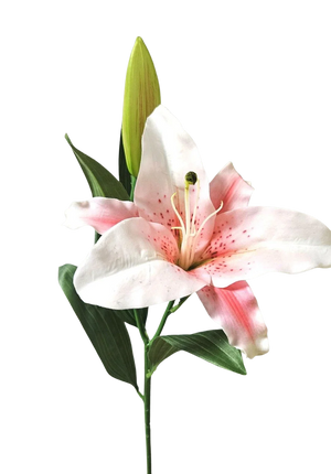 Künstliche Lilie - Walli | 72 cm