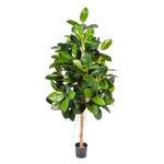 Künstlicher Gummibaum - Karim auf transparentem Hintergrund mit echt wirkenden Kunstblättern in natürlicher Anordnung. Künstlicher Gummibaum - Karim hat die Farbe Natur und ist 140 cm hoch. | aplanta Kunstpflanzen