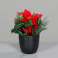 Künstliches Poinsettia-Weihnachtsarrangement - Billy, 20 cm, Kunstblume von aplanta, inkl. Dekotopf, in Rot, für drinnen