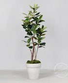 Künstlicher Gummibaum - Mulan | 220 cm