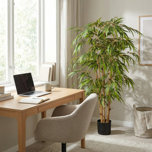 Kunst bamboe - Lasse | 150 cm