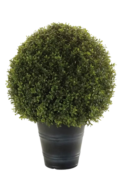 Künstlicher Buchsbaum - Lynn auf transparentem Hintergrund mit echt wirkenden Kunstblättern. Diese Kunstpflanze gehört zur Gattung/Familie der "Buchsbäume" bzw. "Kunst-Buchsbäume".