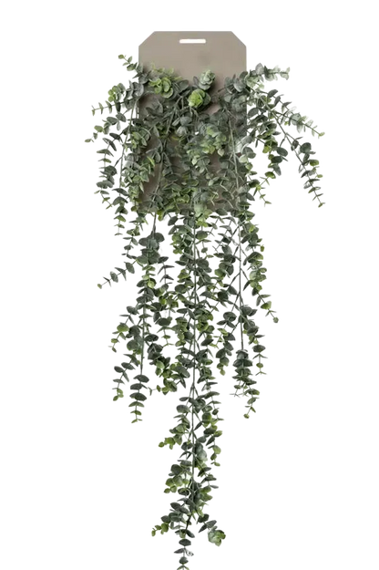 Künstlicher Hänge-Eucalypthus - Richard auf transparentem Hintergrund mit echt wirkenden Kunstblättern. Diese Kunstpflanze gehört zur Gattung/Familie der "Eucalyptus" bzw. "Kunst-Eucalyptus".