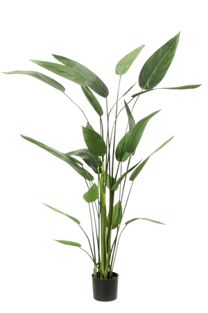 Künstliche Helikonie – Azariel | 160 cm