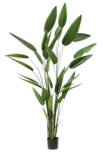 Künstliche Helikonie - Frida auf transparentem Hintergrund mit echt wirkenden Kunstblättern. Diese Kunstpflanze gehört zur Gattung/Familie der "Helikonien" bzw. "Kunst-Helikonien".