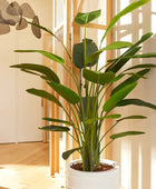 Künstliche Strelitzia - Josephine | 190 cm