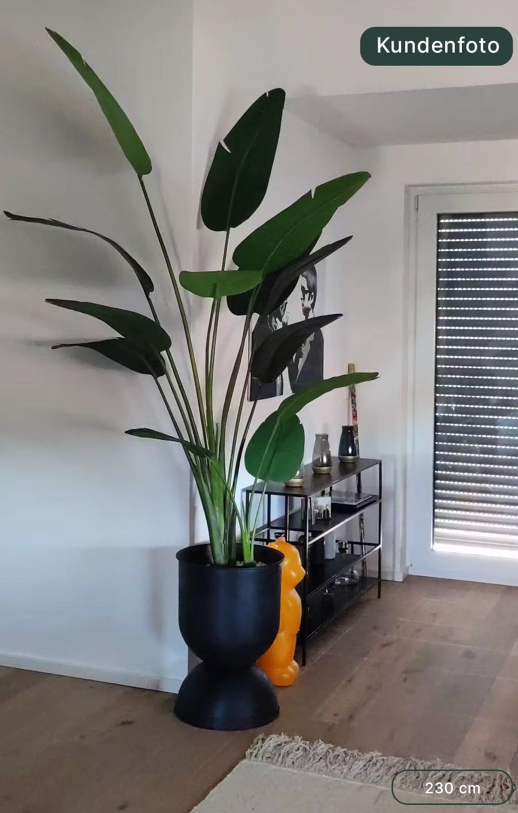 Kunst Strelitzia - Josephine | 230 cm