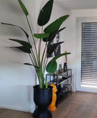 Kunst Strelitzia - Josephine | 230 cm