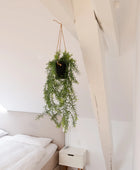 Kunst hangende asperges - Kilian | 50 cm
