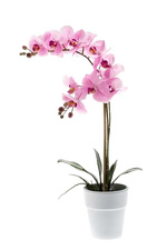 Künstliche Orchidee - Dolores, 65 cm, Kunstblume von aplanta, inkl. Dekotopf, in Pink, für drinnen