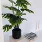 Künstliche Monstera - Karl, 80 cm, Kunstpflanze von aplanta, Real Touch, im schwarzen Topf, in Natur, für drinnen