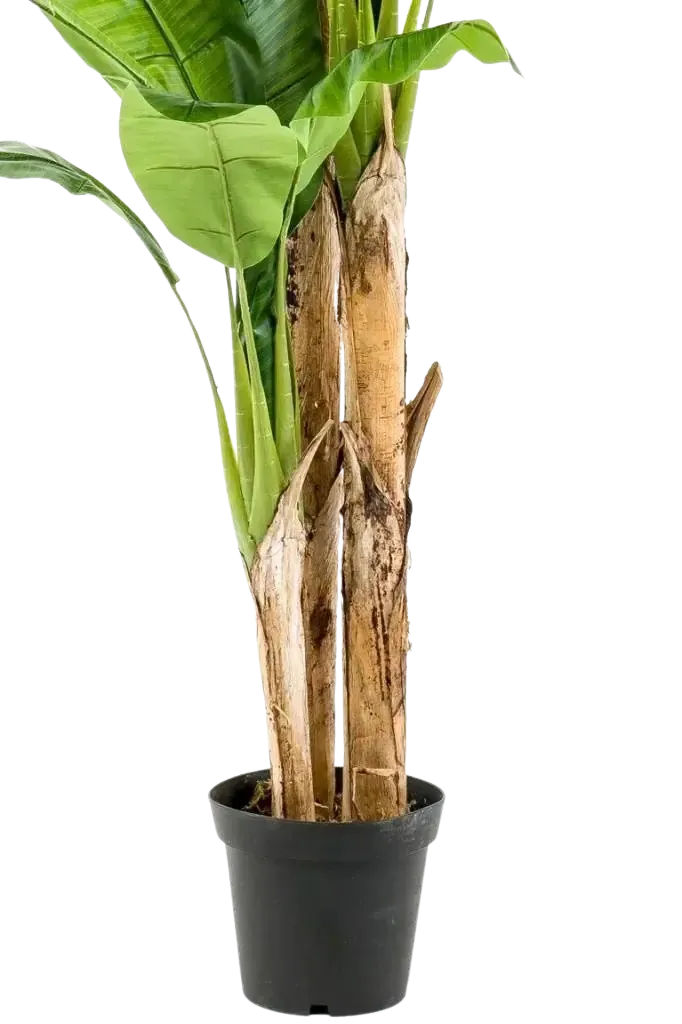 Künstlicher Bananenbaum - Maliora, 210 cm, Kunstbaum von aplanta, UV-beständig, inkl. Startertopf, in Grün, für drinnen