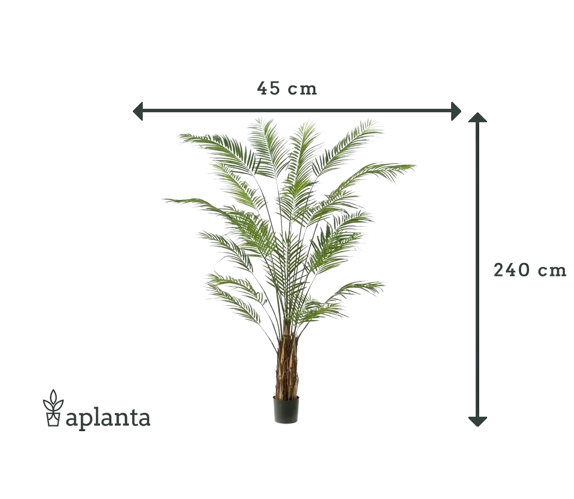 Künstliche Areca Palme - Isaiah | 240 cm