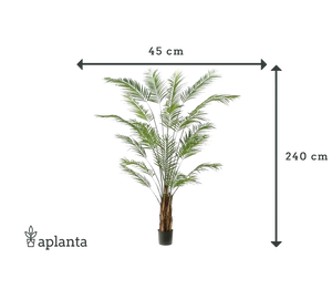 Künstliche Areca Palme - Isaiah | 240 cm