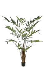 Hochwertige Kunstpalme auf transparentem Hintergrund mit echt wirkenden Kunstblättern in natürlicher Anordnung. Künstliche Areca Palme - Isaiah hat die Farbe Natur und ist 270 cm hoch. | aplanta Kunstpflanzen