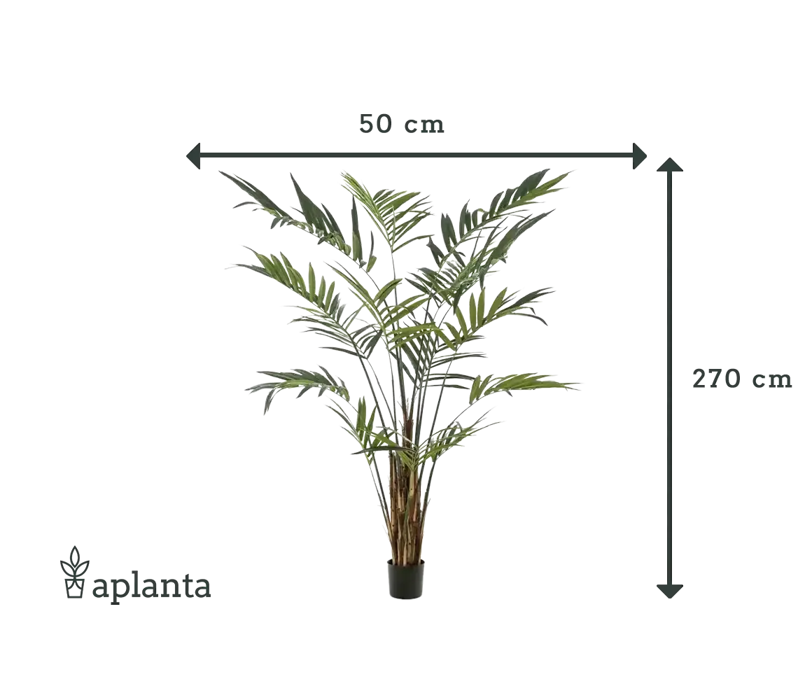 Künstliche Areca Palme - Isaiah | 270 cm