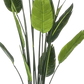 Künstliche Strelitzia - Christian | 150 cm