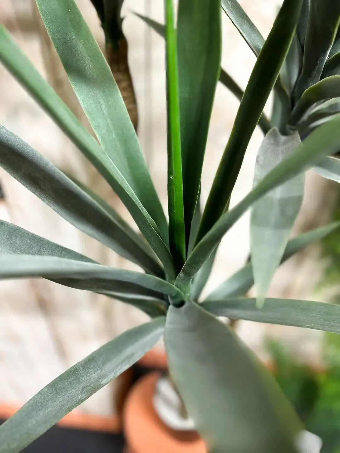 Künstliche Yucca - Talandra, 150 cm, Kunstbaum von aplanta, in Grün, für drinnen