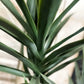 Künstliche Yucca - Talandra, 150 cm, Kunstbaum von aplanta, in Grün, für drinnen