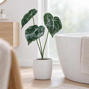 Kunst Anthurium, Plug, 62cm