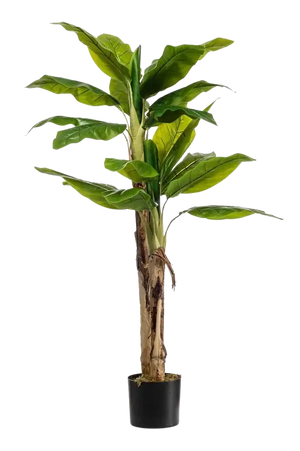 Künstlicher Bananenbaum – Maliora | 140 cm
