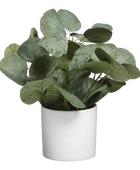 Künstlicher Eucalyptus - Tanja | 26 cm