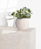 Künstlicher Eucalyptus - Tanja | 26 cm