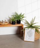 Künstlicher Schwertfarn - Sen | 69 cm