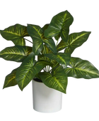 Künstliche Dieffenbachia - Justus | 45 cm