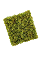 Künstliche Iceland Moos Matte - Natalie auf transparentem Hintergrund mit echt wirkenden Kunstblättern. Diese Kunstpflanze gehört zur Gattung/Familie der "Moose" bzw. "Kunst-Moose".