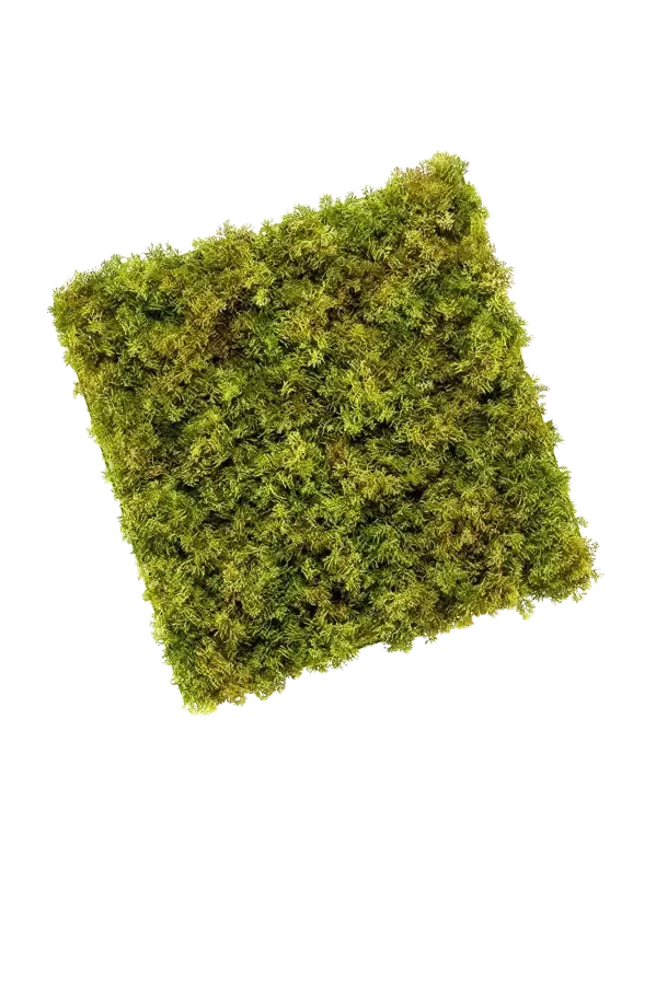Künstliche Iceland Moos Matte - Nala, 5 cm, Kunstpflanze von aplanta, UV-beständig, in Grün, für drinnen