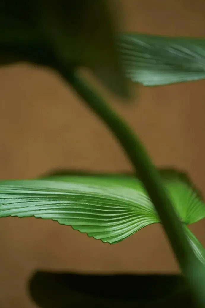 Künstliche Strahlen Palme - Naomi | 130 cm