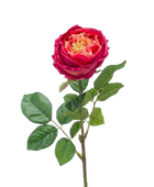 Hochwertige Kunstpflanze | Künstliche Rose - Estefania | 60 cm von 🌱aplanta