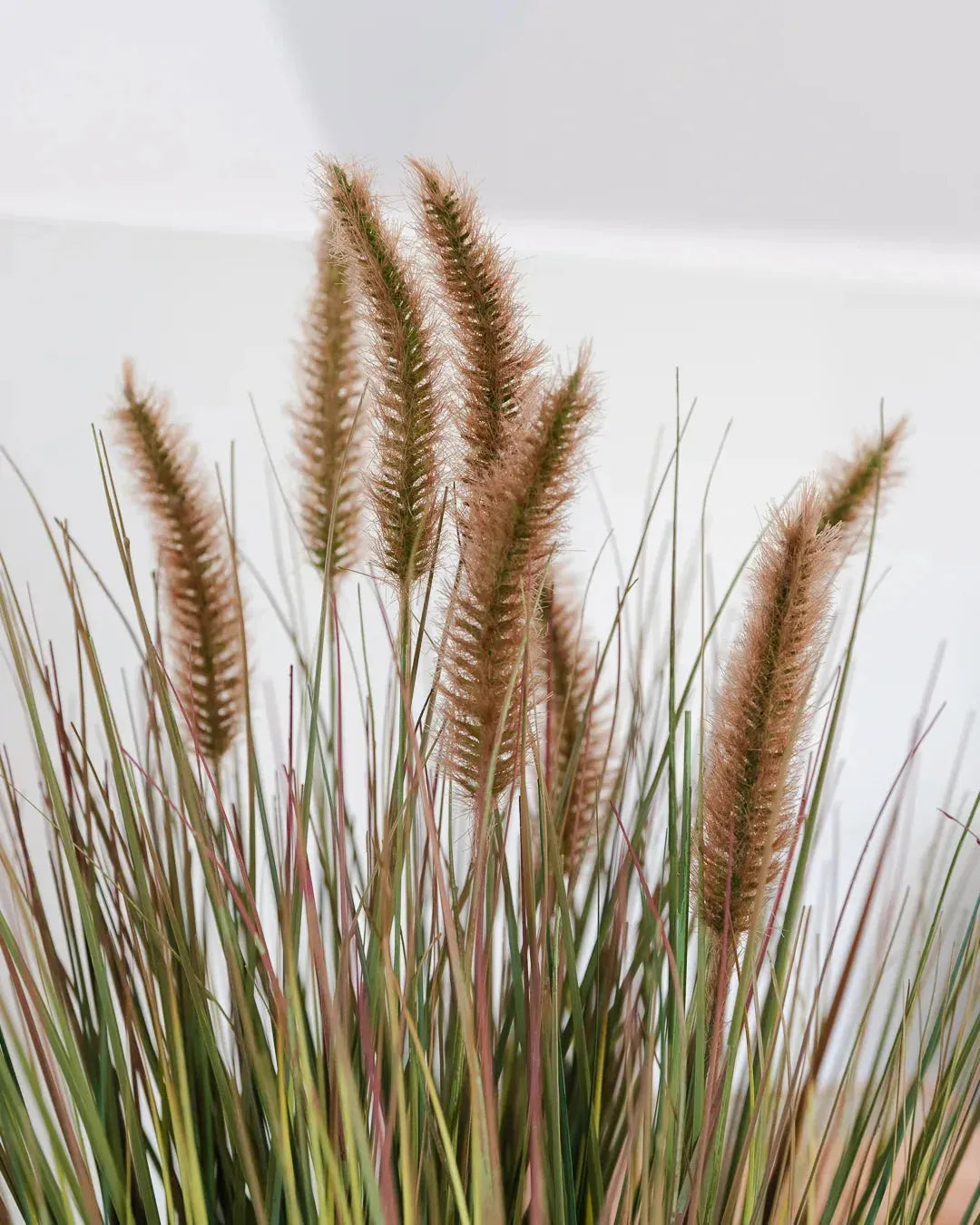 Kunst lampwisser gras - Paulin | 71 cm