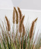 Kunst lampwisser gras - Paulin | 71 cm
