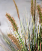 Kunst lampenpoetser - Paulin | 45 cm